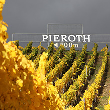 PBG verkauft Weinsparte an Pieroth Holding