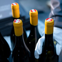 Wein-Österreich_Foto-ÖWM_Robert-Herbst_web.jpg