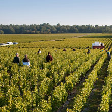 1,04 Euro pro Liter in Bordeaux