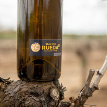 Rueda wächst gegen den Markt