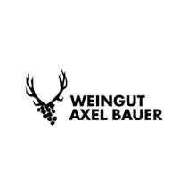 Axel Bauer unter Gläubigerschutz