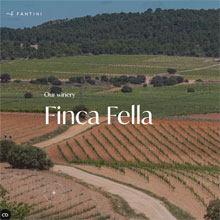 Fantini in Spanien