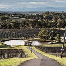 Australien-Exporte zugenommen