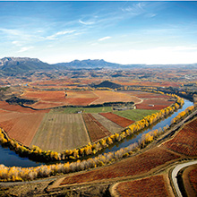 Rioja mit Veränderungen