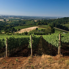 R&U vertreibt Oregon-Weine