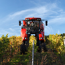 Kleinster Jahrgang seit 2010
