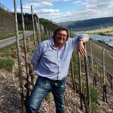 Weingut Werner vor Verkauf