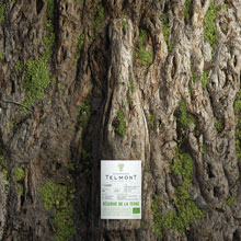 Telmont neu mit fünf Qualitäten