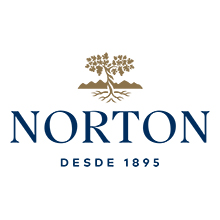 Bodegas Norton insolvent