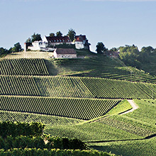 Durbacher Winzer an Schloss Staufenberg interessiert