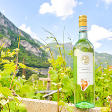 Delle Venezie stabil