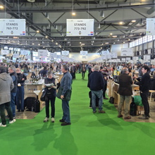 Weniger Besucher in Montpellier