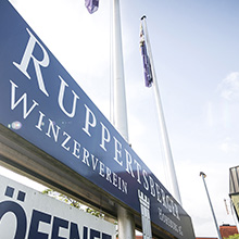 Export zahlt sich aus