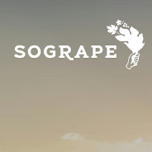 Sogrape Prestige bei United in Taste