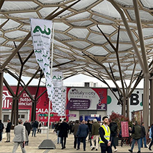 90.000 Besucher in Verona