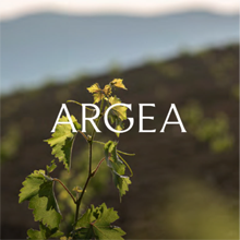 Argea stabil