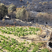 Nachhaltigkeits-Initiative in Gredos