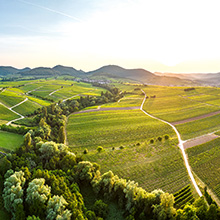 Perspektiven im Strukturwandel