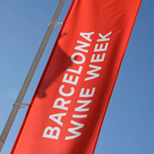 BWW-Schwerpunkte definiert