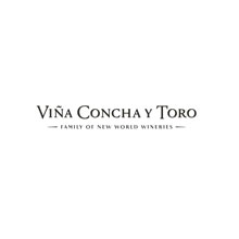 Concha y Toro wächst wieder
