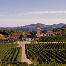 Miolo kauft Bodega Renacer