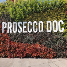 Prosecco verliert