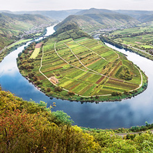 Flächenbörse an der Mosel