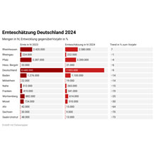 DWI rechnet mit -9%