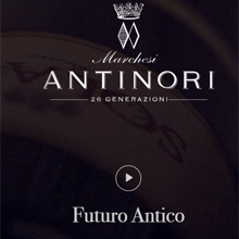 Antinori übernimmt Arcadia