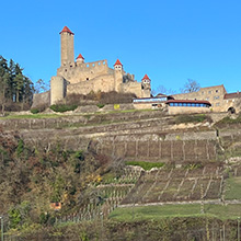 Burg Hornberg stellt Weinbau ein