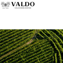 Tonini jetzt Valdo-Generaldirektor