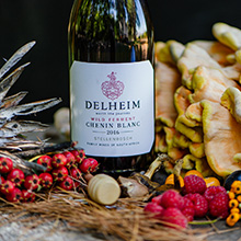 Schlumberger holt Delheim