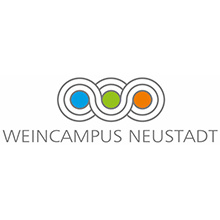 Mehrweg im Praxistest
