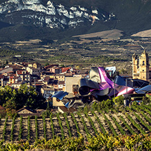 Rioja regelt Ortsweine neu
