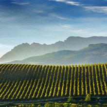 Wachstum der DOCa Rioja gestoppt