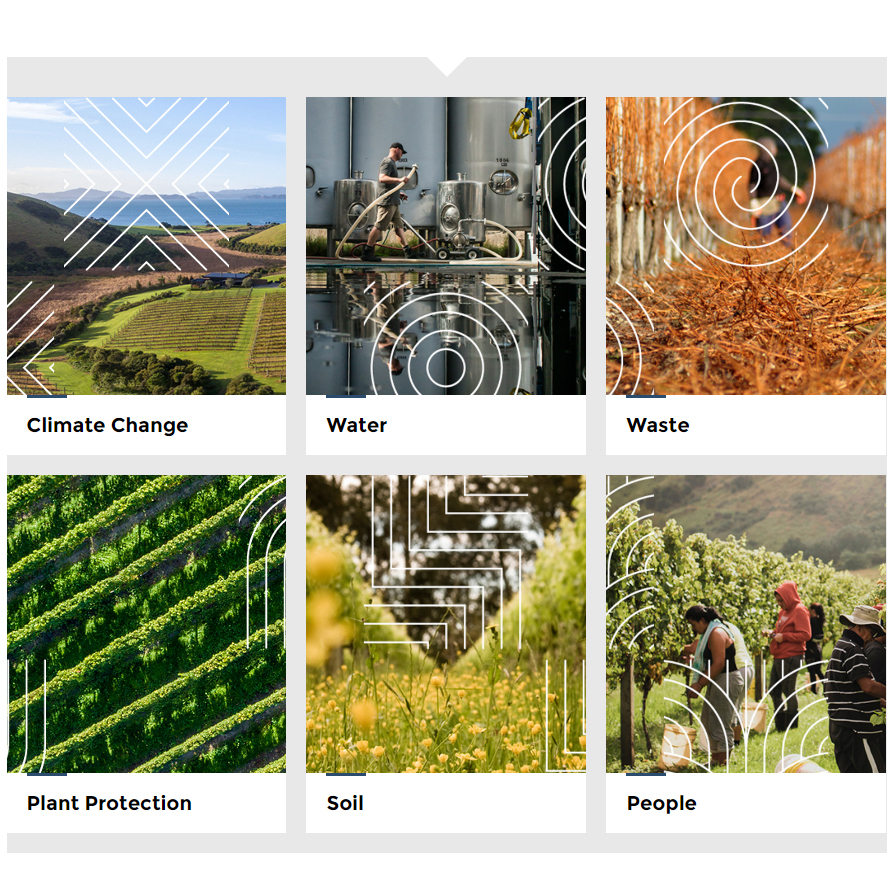 Kiwis peilen „net zero” an